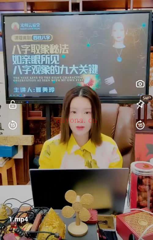 夏光明弟子曹美玲《八字取象秘法：如亲眼所见，八字观象的九大关键》2集视频