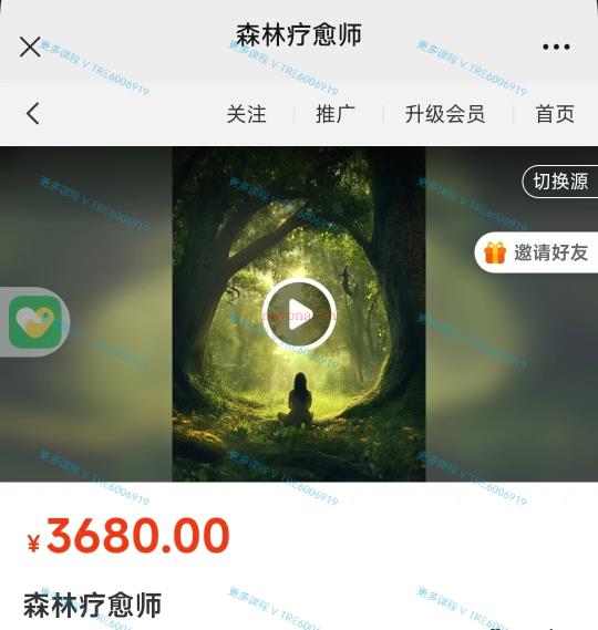 (森林疗愈)森林疗愈师 让我们的身心灵更加贴近大自然