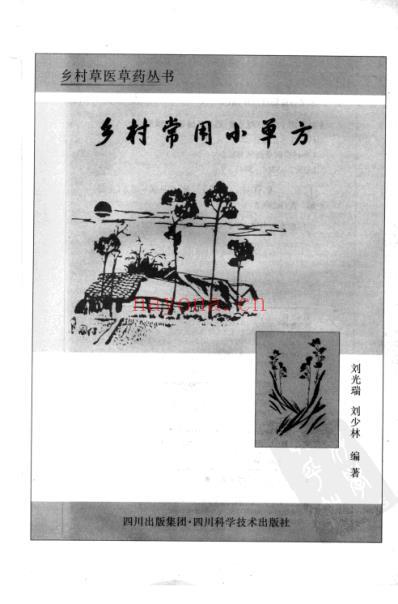 乡村常用小单方.pdf