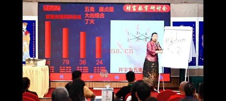 徐子辰《数字能量学研讨会》11集视频