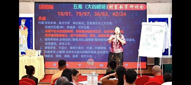 徐子辰《数字能量学研讨会》11集视频