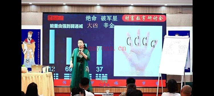 徐子辰《数字能量学研讨会》11集视频