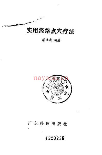 实用经络点穴疗法_蔡洪光.pdf