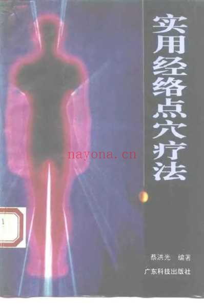 实用经络点穴疗法_蔡洪光.pdf