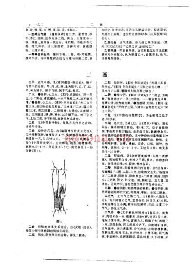 中医大辞典.pdf