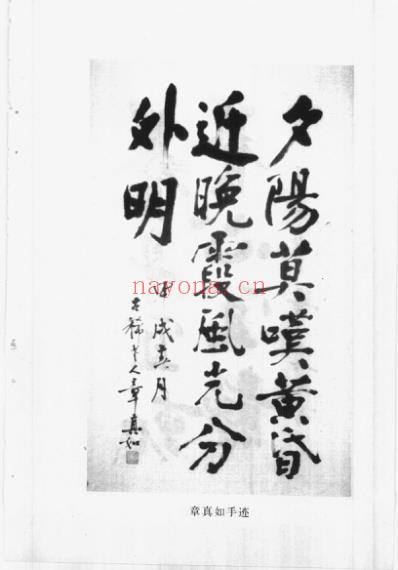 章真如_中医临床名家集.pdf