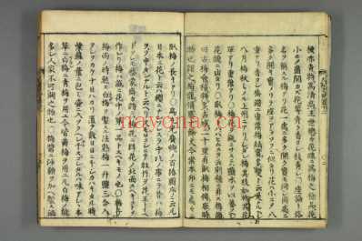 大和本草-日宽永刻本_十二.pdf