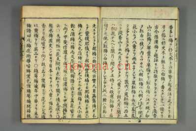 大和本草-日宽永刻本_十二.pdf