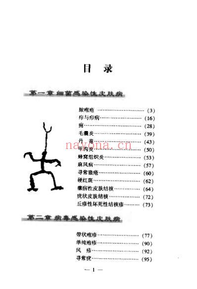 皮肤性病验方精编_敏涛.pdf