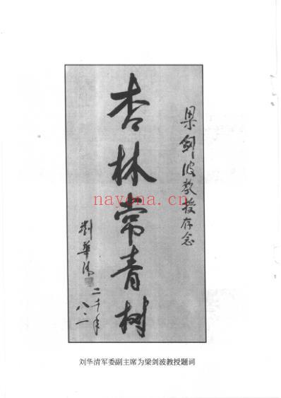 梁剑波_中医临床名家集.pdf