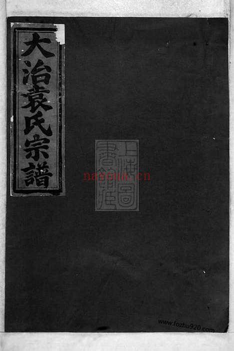 【大治袁氏宗谱】（龙游家谱）_N4744.pdf