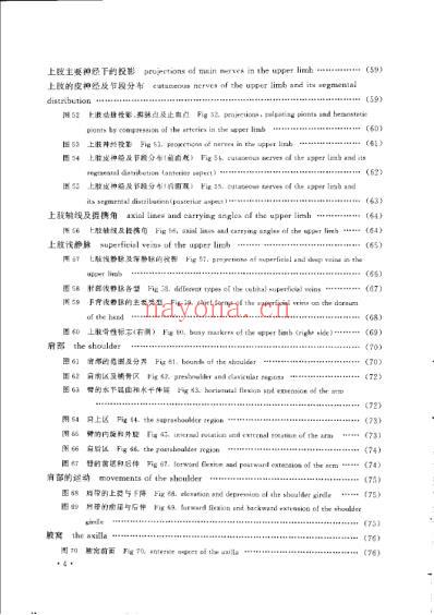 人体表面解剖学及图谱.pdf