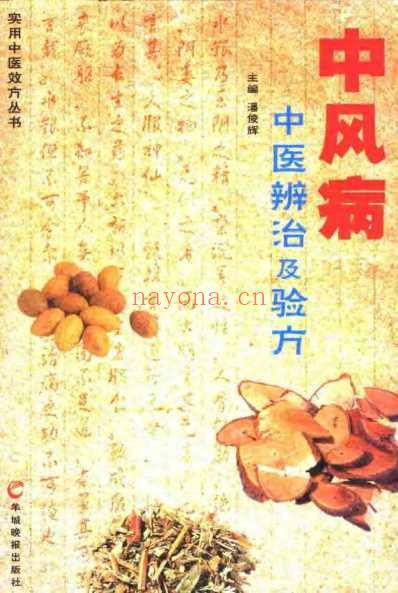 中风病中医辨治及验方-潘俊辉.pdf