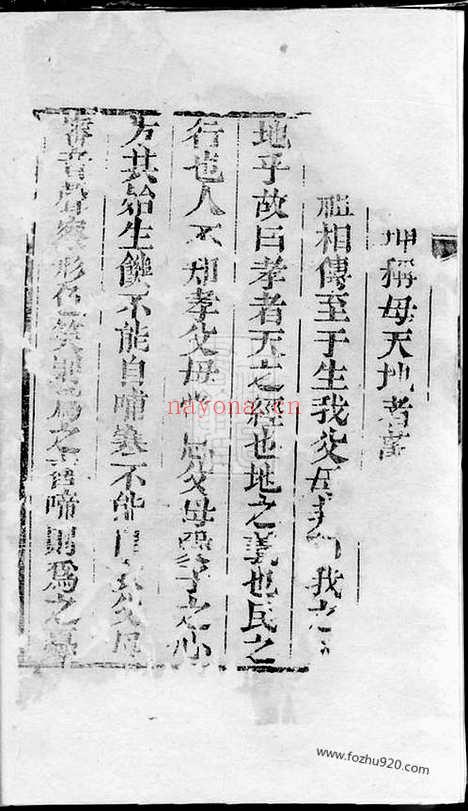 【仇氏宗谱】不分卷（崇明家谱）_N1922.pdf