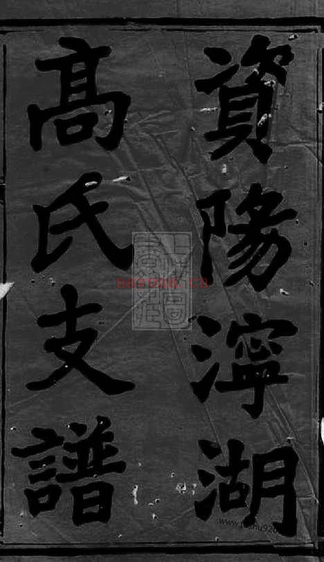 【资阳宁湖高氏三修支谱】十三卷（益阳家谱）_N5251.pdf