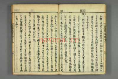 大和本草-日宽永刻本_十三.pdf