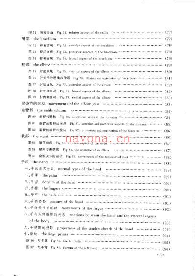 人体表面解剖学及图谱.pdf