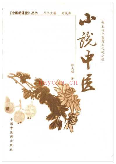 小说中医.pdf