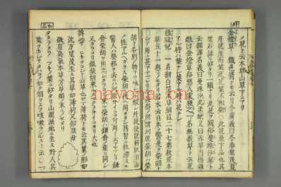 大和本草-日宽永刻本_九.pdf