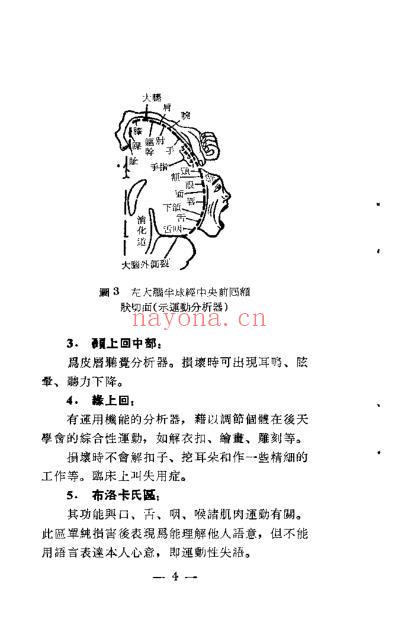 简明头针疗法_钟稷民.pdf