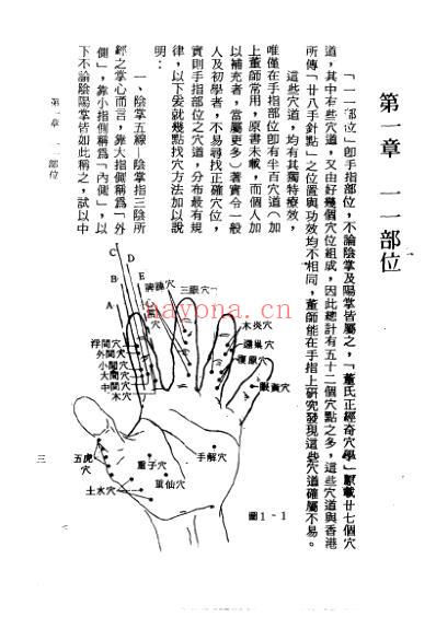 董氏奇穴针灸发挥_杨维杰.pdf