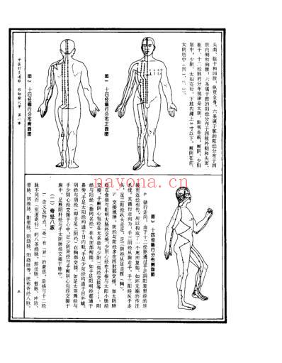 中医针灸通释经脉腧穴学_康锁彬.pdf