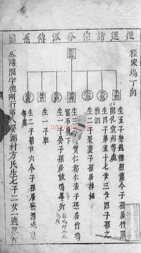 【严氏家乘】不分卷（遂安家谱）_N4277.pdf