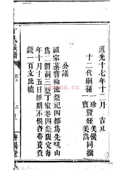 【丁氏族谱】（巴陵家谱）_N4493.pdf