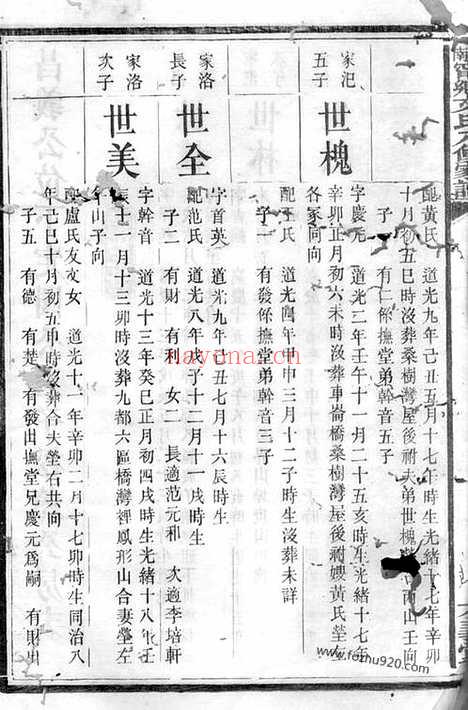 【湖南宁乡文氏八修家谱】_N1947.pdf