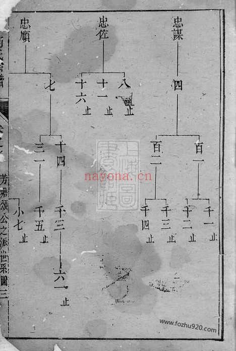 【胡氏宗谱】（遂安家谱）_N7523.pdf