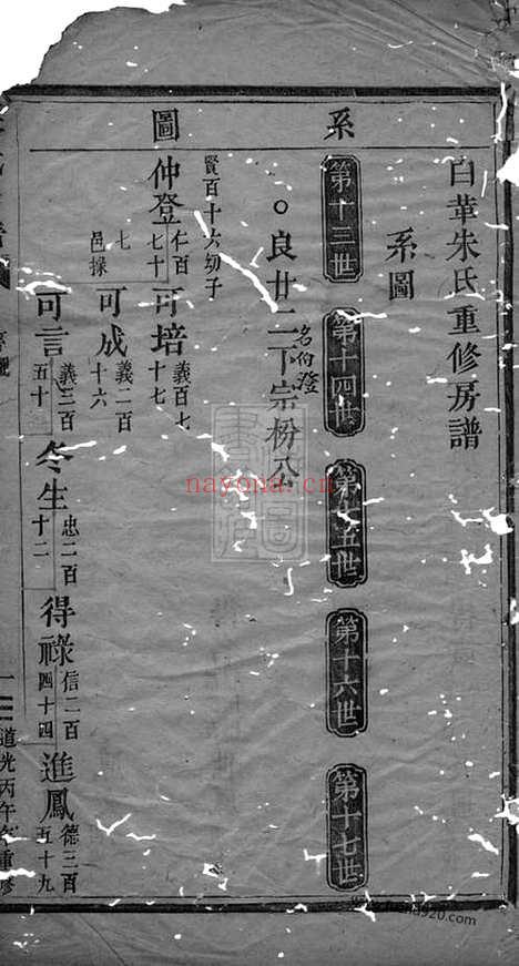 【白革朱氏重修房谱】不分卷（武义家谱）_N5555.pdf