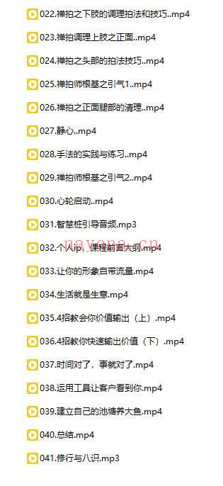 高级身心疗愈禅拍师心法课 41集视频