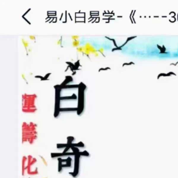 易小白《白奇真传、运筹化解篇》200页.pdf