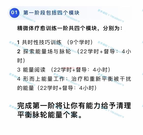 (能‮疗量‬愈)Dani丹亚雷 精微体能‮疗量‬愈专业训练1-4模块