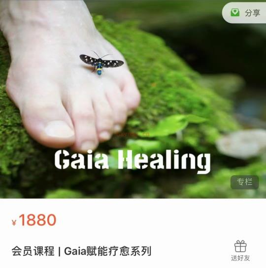 【能量疗愈】Gaia赋能疗愈系列