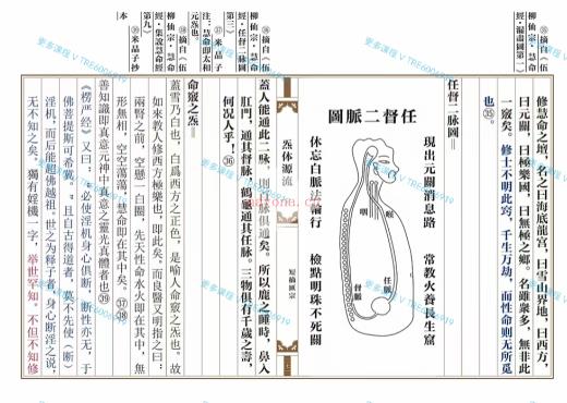 (道家典籍)最新引进《炁体源流》电子扫描版