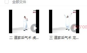 许微含道长《道家秘功采气术》视频4集插图