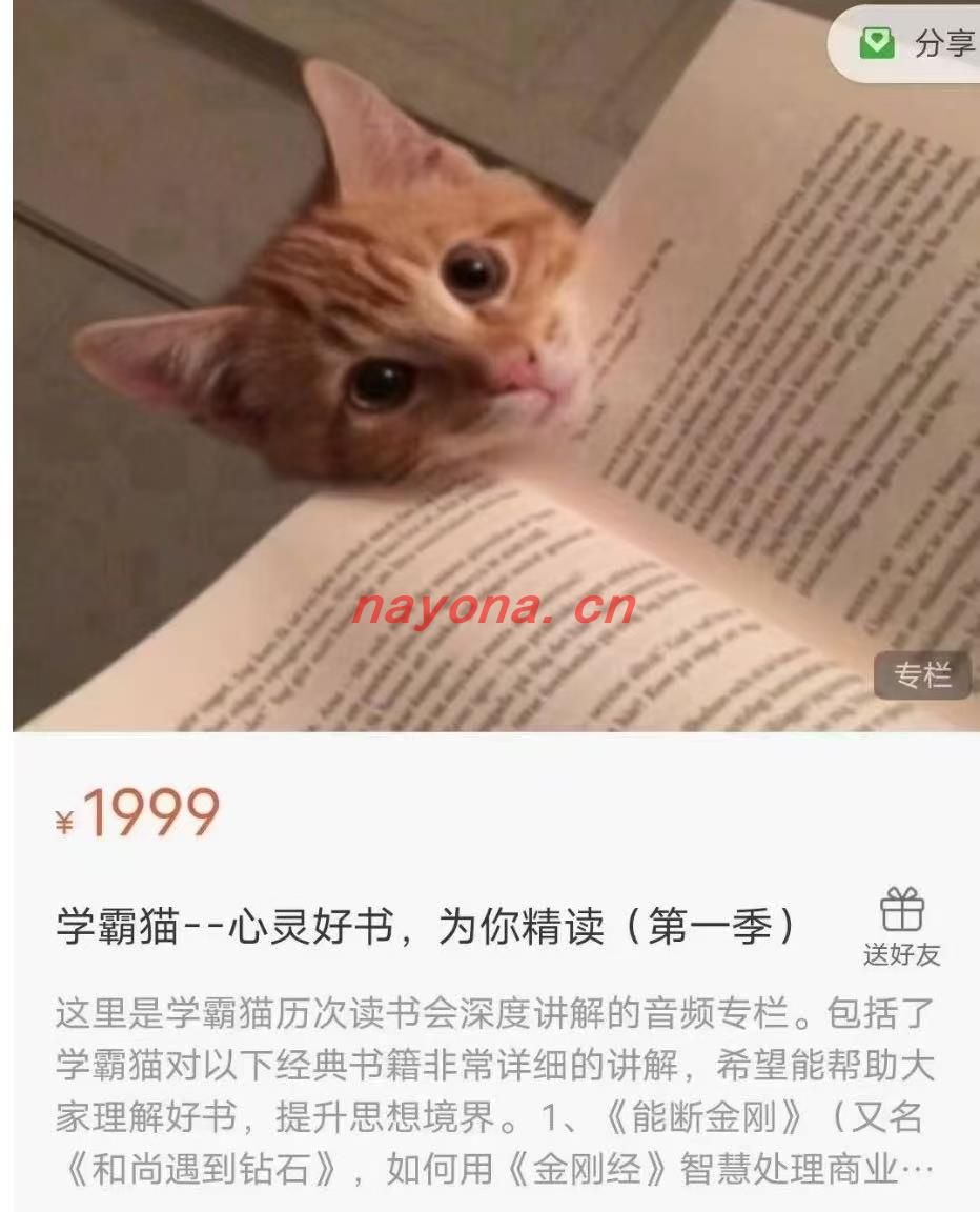 学霸猫9套合集