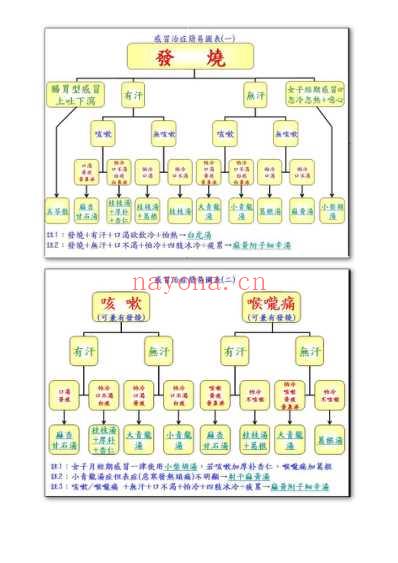 自己动手治疗感冒.pdf