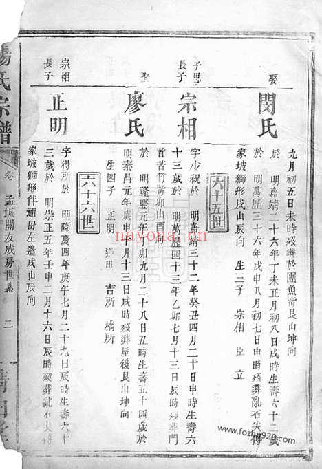 【杨氏宗谱】不分卷（岳阳家谱）_N2165.pdf