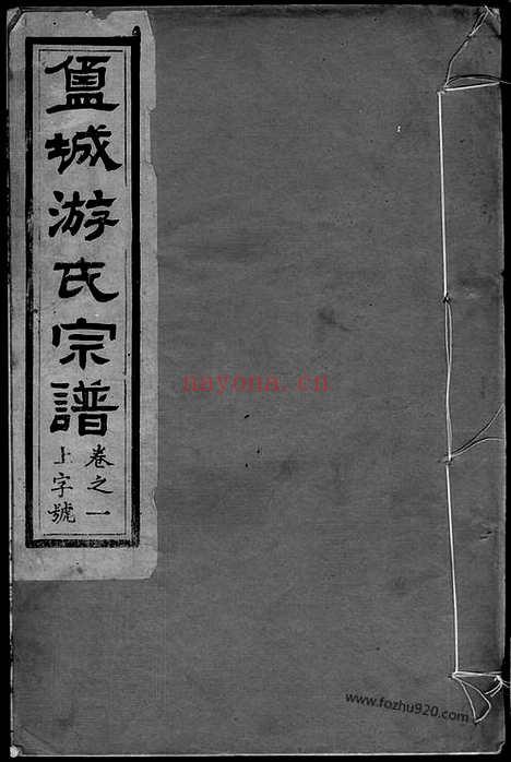 【盐城游氏宗谱】不分卷（盐城家谱）_N1325.pdf