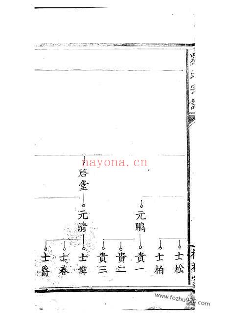 【罗氏宗谱】不分卷（大冶家谱）_N4297.pdf