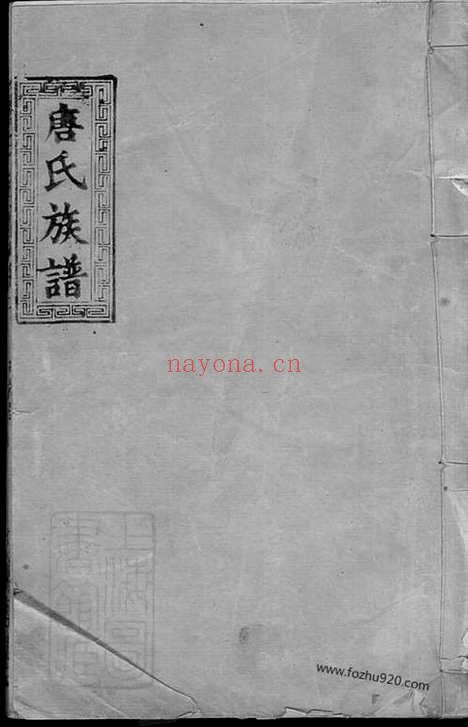 【唐氏族谱】（澧县家谱）_N2094.pdf