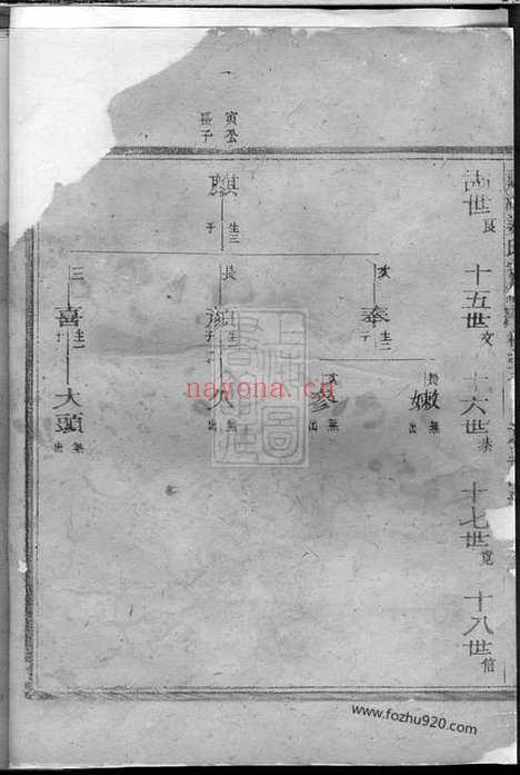 【嘉湖姜氏宗谱】（江山家谱）_N7753.pdf