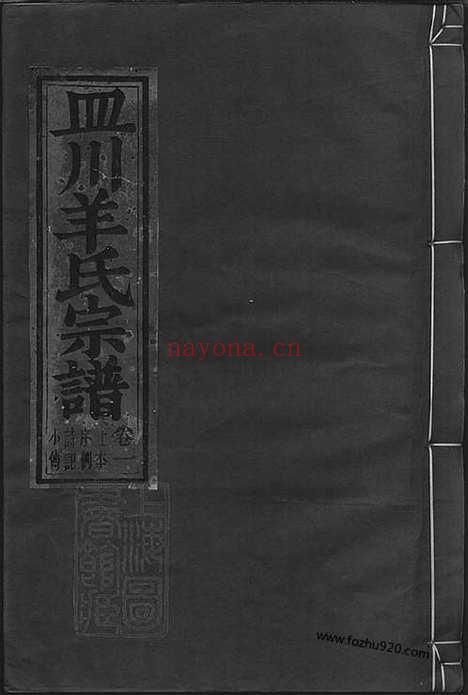 【皿川羊氏宗谱】十一卷（缙云家谱）_N5805.pdf