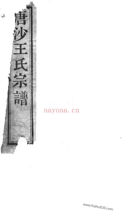 【唐沙王氏宗谱】十二卷（江阴家谱）_N1549.pdf