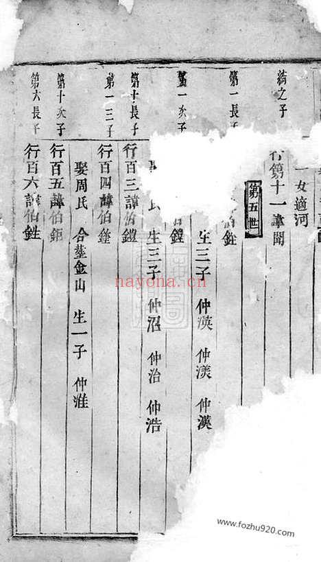 【白麟溪义门郑氏宗谱】不分卷（浦阳家谱）_N2865.pdf