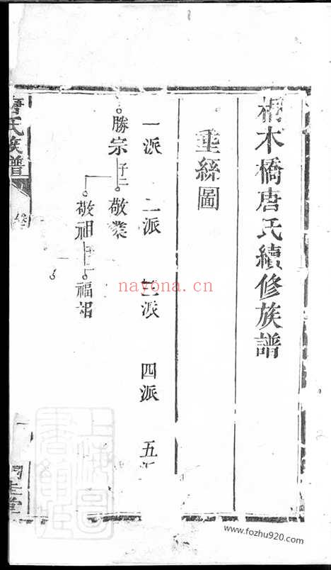 【桐木桥唐氏续修族谱】_N5375.pdf