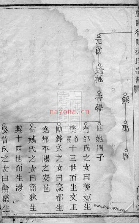 【暨阳徐坞杨氏宗谱】_N2287.pdf