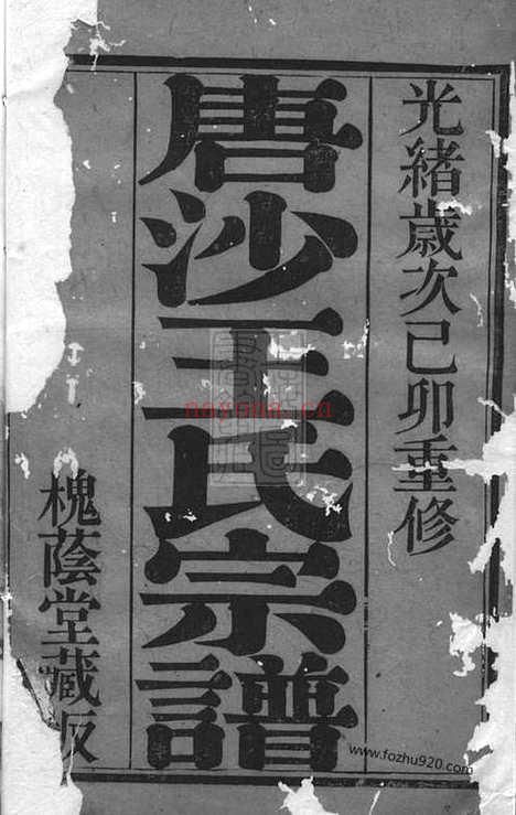 【唐沙王氏宗谱】十二卷（江阴家谱）_N1549.pdf